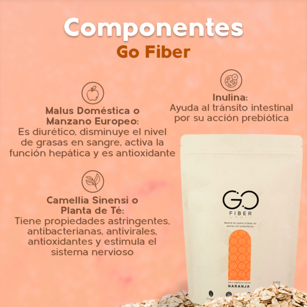 Go Fiber - Image 5