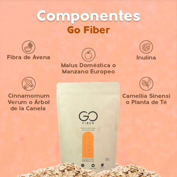Go Fiber - Image 4